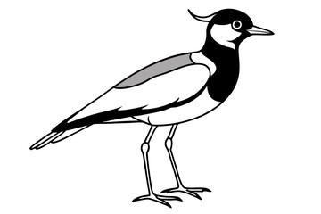 lapwing silhouette vector illustration
