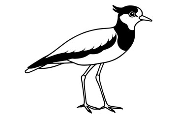 lapwing silhouette vector illustration