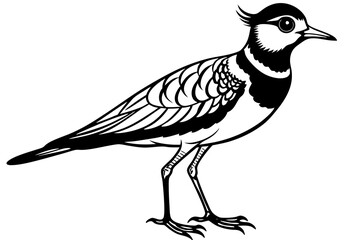 lapwing silhouette vector illustration