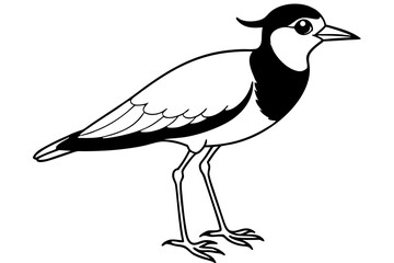 lapwing silhouette vector illustration