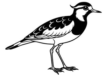 lapwing silhouette vector illustration
