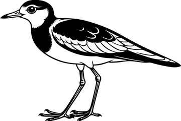 lapwing silhouette vector illustration