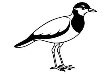 Obraz premium lapwing silhouette vector illustration