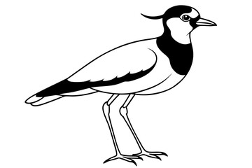 lapwing silhouette vector illustration