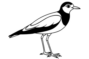 lapwing silhouette vector illustration