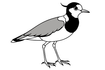 lapwing silhouette vector illustration