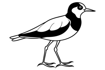 lapwing silhouette vector illustration
