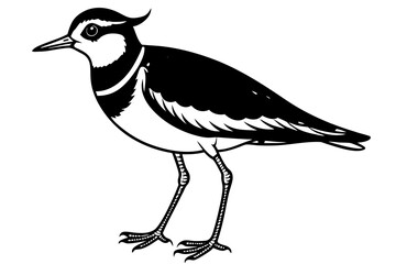 lapwing silhouette vector illustration