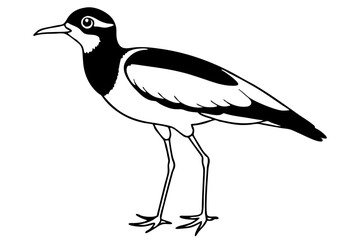 lapwing silhouette vector illustration