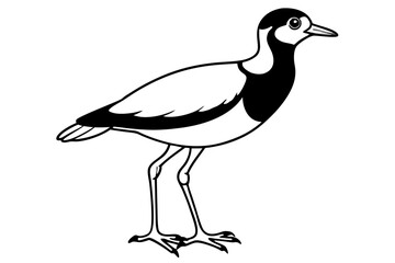 Fototapeta premium lapwing silhouette vector illustration