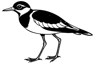 Obraz premium lapwing silhouette vector illustration