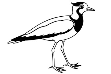 lapwing silhouette vector illustration