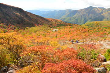 那須連山茶臼岳、姥ヶ平紅葉真っ盛り