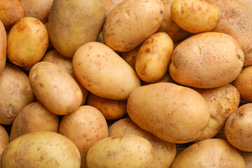 Many fresh potatoes as background, top view