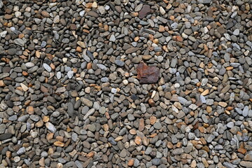 filtered pea gravel