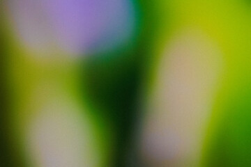 Grainy dark Green Color gradient abstract background, noise texture effect