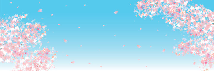 桜　春　ピンク　背景