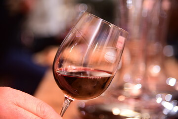 Copa de vino Malbec