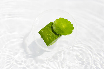 Centella asiatica leaves with aloe vera in water