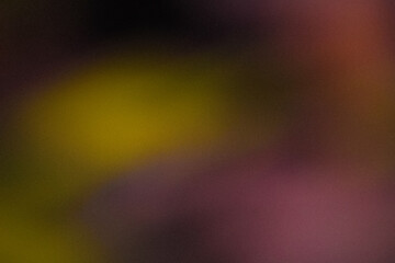 Grainy dark yellow Color gradient abstract background, noise texture effect
