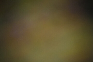 Grainy dark yellow Color gradient abstract background, noise texture effect
