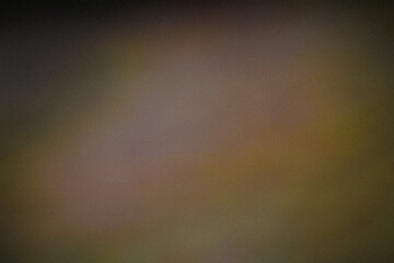 Grainy dark yellow Color gradient abstract background, noise texture effect