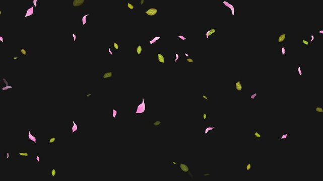 Loop Flying petals and leaves on Transparent Background. Alpha Channel. Matte