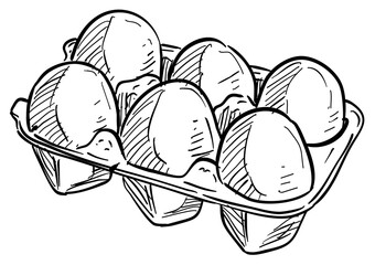 chicken eggs handdrawn illustration