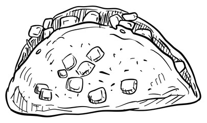 chicken eggs handdrawn illustration