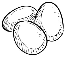 chicken eggs handdrawn illustration