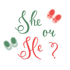 Postcard He or She. Vector invitation card template for baby gender reveal party. Color illustration with clothes for newborns on a white background. 