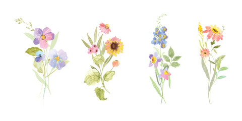 Set of bouquet vector. Watercolor floral arrangement with wildflower, rose, poppy, sunflower, eucalyptus, leaves branch in minimal style. Botanical illustration design for logo, wedding, decor, print.