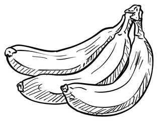 banana handdrawn illustration
