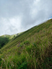 green hill, view of Anak Dara hill when the fog, around Mount Rinjani, Sembalun Lombok, Indonesia. the landscape is for hiking and outdoor lifestyle concept. beautiful natural scenery