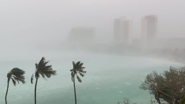 Hurricane Wind And Rain Blast Tropical Island - Mawar