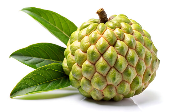 Atemoya fruit isolated on white background.