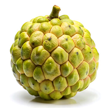 Atemoya fruit isolated on white background.