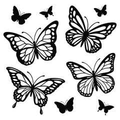 Fototapeta premium Set of Butterfly Silhouette Vector