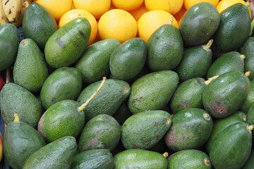 many avocado display for sale at local store 