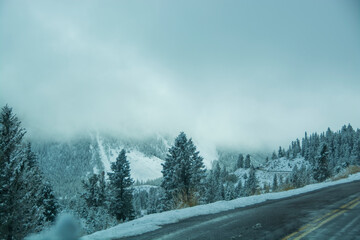 Winter Majesty: Bison Herd in Snowy Lamar Valley