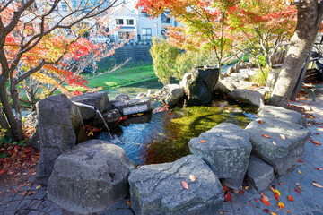 鳥居の前にある、若がえりの泉。
四柱神社がある一体はカエルがシンボルとなっている。
この泉は「カエル」＝「返る」という日本語の発音からくる駄洒落である。

松本市の町中を流れる美しい清流、女鳥羽川。
その畔にある信州有数の古社、四柱（よはしら）神社。
境内は市民に広く公開されていて、24時間誰でも無料で拝観、撮影等できる。
日本国長野県松本市 - 2021年11月7日。
