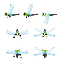 ギンヤンマセット © yurumarukko