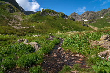 The valley of the Malaya Dukka River on the slopes of the Arkasar ridge in the North Caucasus and the tourist trail to the Dukka Lakes on a sunny summer day, Arkhyz, Karachay-Cherkessia, Russia © Ula Ulachka