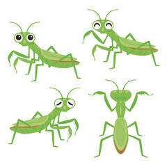 カマキリセット