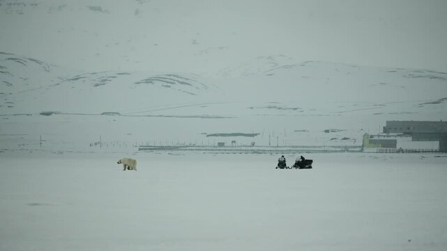 A mother Polar Bear and her Cub move across an icy landscape in Svalbard. In the background you can see what remains the old mining industry. Footage was captured on Sony A6700 on an arctic ski trip.