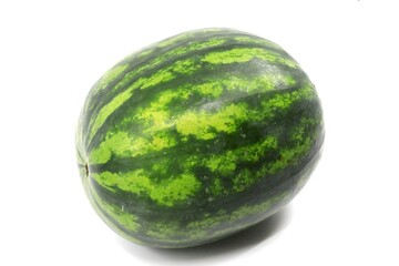 Freshly harvested watermelon 
