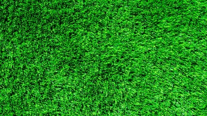 Fototapeta premium Green grass background, wallpaper