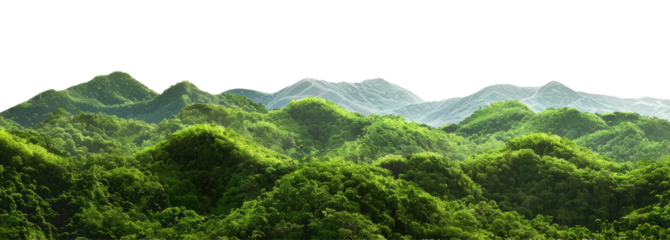 Mountains covered with tropical forest, cut out