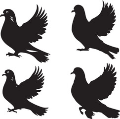 Pigeon silhouette Illustration vector .