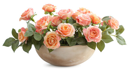 Obraz premium A vase with roses isolated on a transparent background